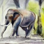 Elephant Water Color Painting